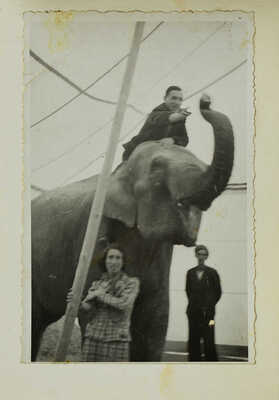 Семья Запашных. [Фотоальбом]. Б.м., б.г.